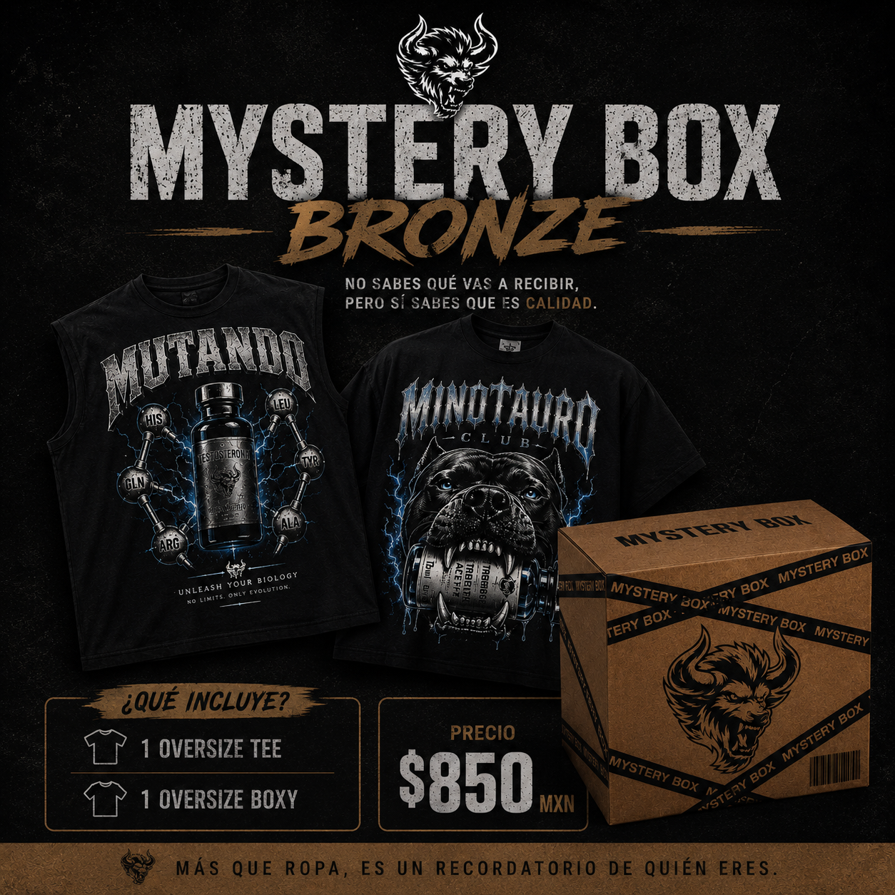 MYSTERY BOX BRONZE