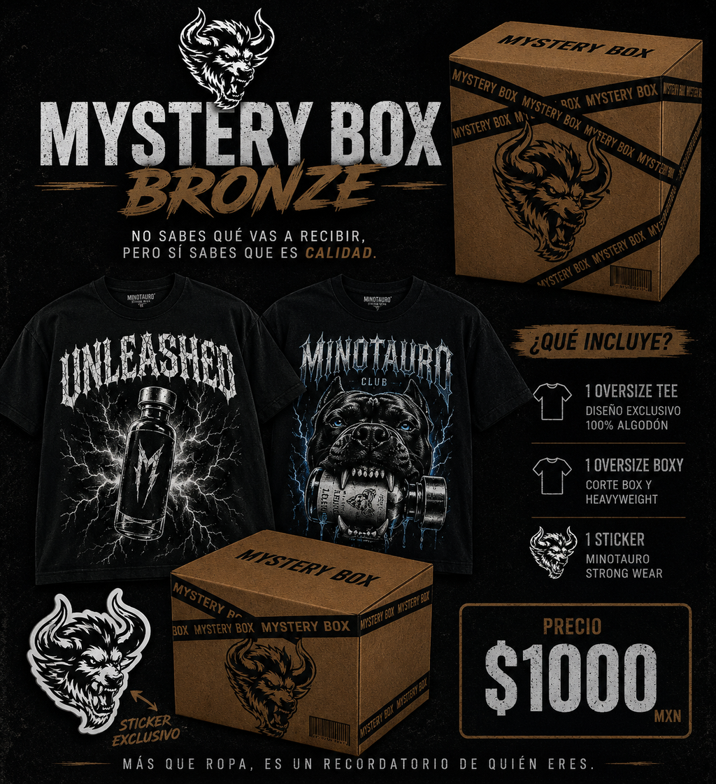MYSTERY BOX SILVER